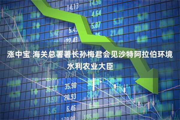 涨中宝 海关总署署长孙梅君会见沙特阿拉伯环境水利农业大臣