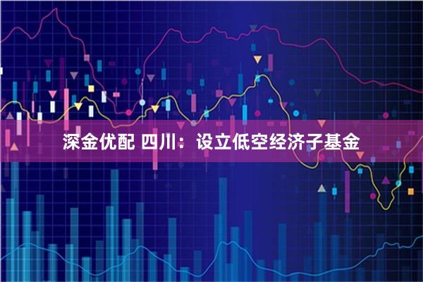 深金优配 四川：设立低空经济子基金