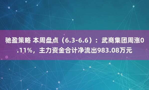 驰盈策略 本周盘点（6.3-6.6）：武商集团周涨0.11%，主力资金合计净流出983.08万元