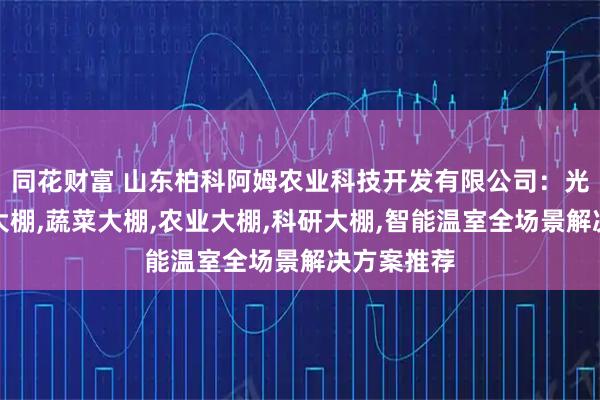 同花财富 山东柏科阿姆农业科技开发有限公司：光伏板温室大棚,蔬菜大棚,农业大棚,科研大棚,智能温室全场景解决方案推荐
