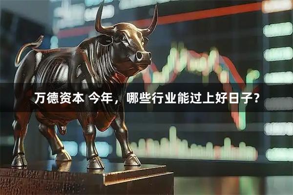 万德资本 今年，哪些行业能过上好日子？