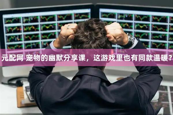 元配网 宠物的幽默分享课，这游戏里也有同款温暖？