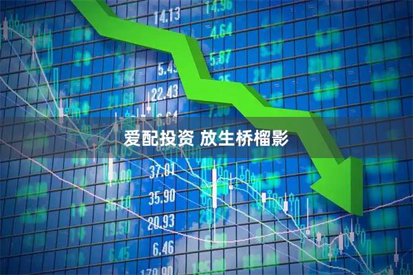 爱配投资 放生桥榴影