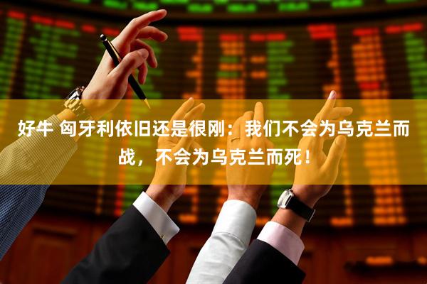好牛 匈牙利依旧还是很刚：我们不会为乌克兰而战，不会为乌克兰而死！